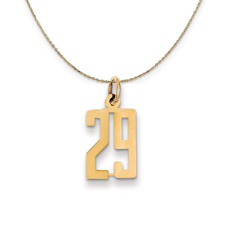 14k Yellow Gold Alumni Small Elongated Number 29 Necklace - 20 Inch 722$